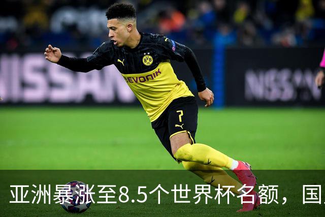 亚洲暴涨至8.5个世界杯名额，国足依旧出局，残酷真相没人敢说