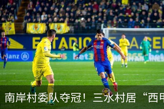 南岸村委队夺冠！三水村居“西甲”燃情落幕